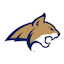 Montana State logo